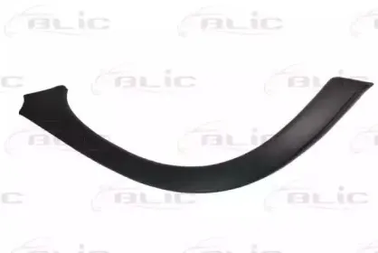5703-04-5022595P BLIC Облицовка / защитная накладка, крыло