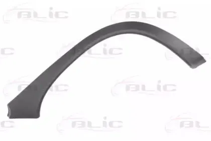 5703045022596Q BLIC Облицовка / защитная накладка, крыло