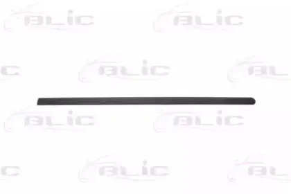 5703-04-5023572PP BLIC Облицовка / защитная накладка, дверь