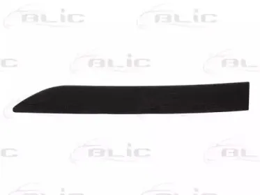 5703-04-5024473P BLIC Облицовка / защитная накладка, крыло