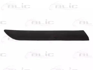 5703-04-5024474P BLIC Облицовка / защитная накладка, крыло