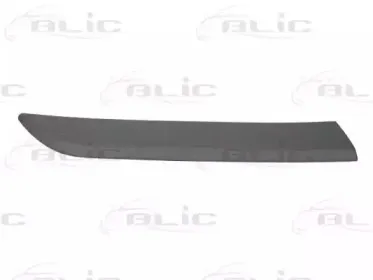 5703-04-5024478P BLIC Облицовка / защитная накладка, крыло