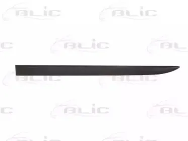 5703-04-5024571PP BLIC Облицовка / защитная накладка, дверь