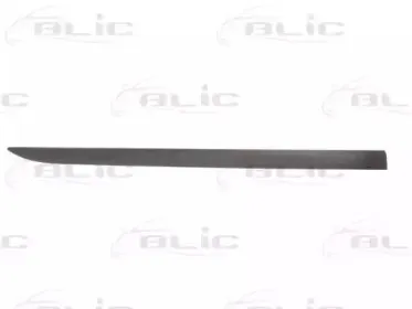 5703-04-5024572P BLIC Облицовка / защитная накладка, дверь