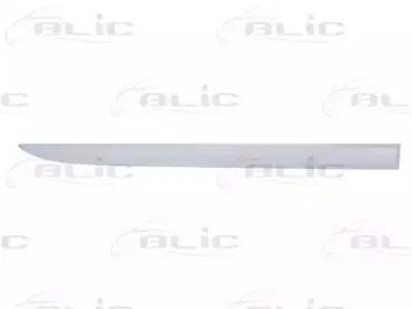 5703-04-5024576PP BLIC Облицовка / защитная накладка, дверь