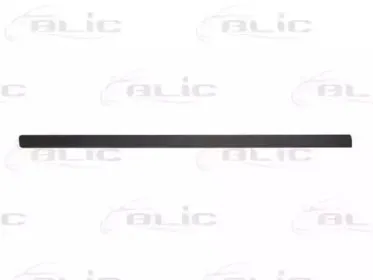 5703-04-5026571P BLIC Облицовка / защитная накладка, дверь