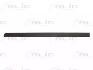 5703-04-5026573P BLIC Облицовка / защитная накладка, дверь