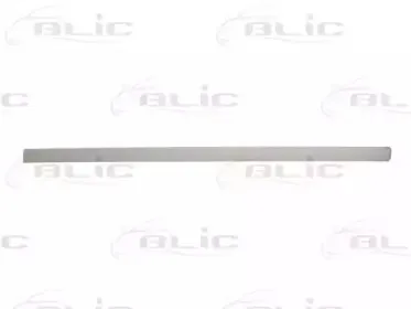 5703-04-5026576P BLIC Облицовка / защитная накладка, дверь