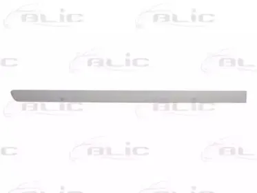 5703-04-5026578P BLIC Облицовка / защитная накладка, дверь