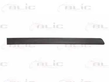 5703-04-5051574P BLIC Облицовка / защитная накладка, дверь