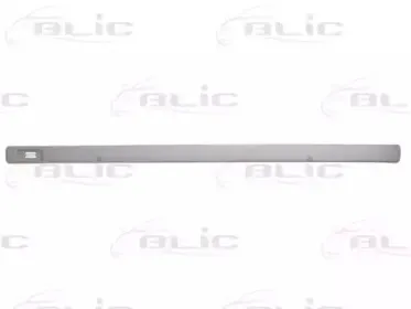 5703-04-5051575P BLIC Облицовка / защитная накладка, дверь