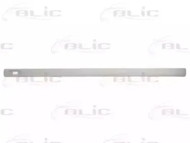 5703-04-5051576P BLIC Облицовка / защитная накладка, дверь