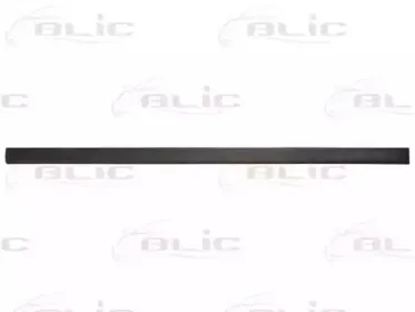 5703-04-5077571P BLIC Облицовка / защитная накладка, дверь