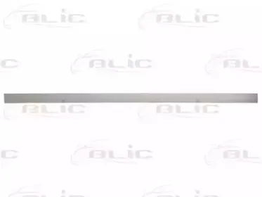 5703-04-5078575P BLIC Облицовка / защитная накладка, дверь