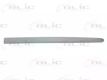 5703-04-5507575P BLIC Облицовка / защитная накладка, дверь