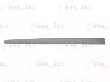 5703-04-5507576P BLIC Облицовка / защитная накладка, дверь