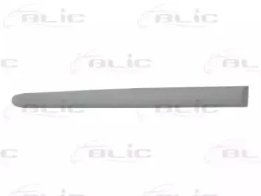 5703-04-5507577P BLIC Облицовка / защитная накладка, дверь