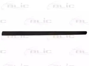 5703-04-5514572P BLIC Облицовка / защитная накладка, дверь