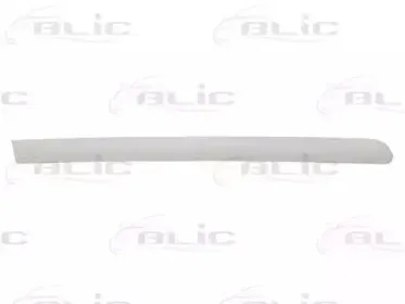 5703-04-5514578P BLIC Облицовка / защитная накладка, дверь