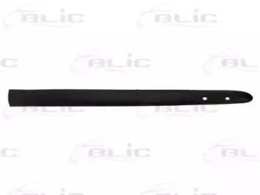 5703-04-6032571P BLIC Облицовка / защитная накладка, дверь