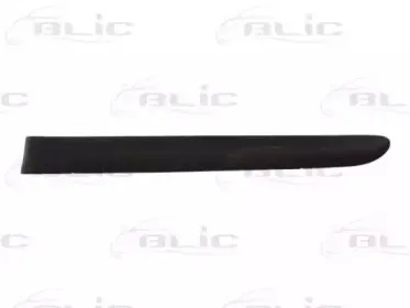 5703-04-6032573P BLIC Облицовка / защитная накладка, дверь