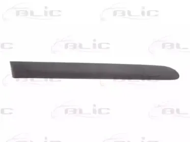 5703-04-6032574P BLIC Облицовка / защитная накладка, дверь