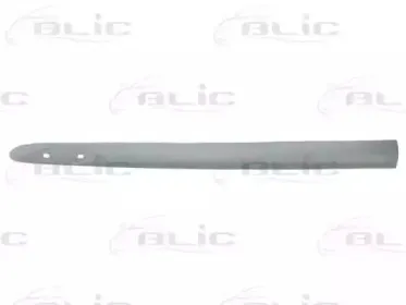 5703-04-6032576P BLIC Облицовка / защитная накладка, дверь