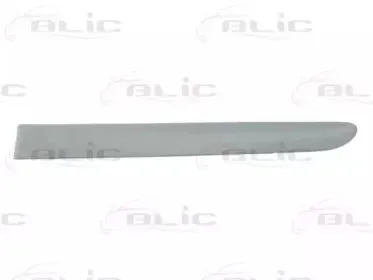 5703-04-6032577P BLIC Облицовка / защитная накладка, дверь