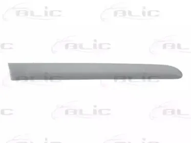 5703-04-6032578P BLIC Облицовка / защитная накладка, дверь