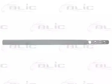 5703-04-6033576P BLIC Облицовка / защитная накладка, дверь