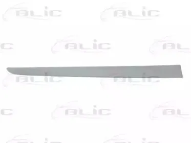 5703-04-6033578P BLIC Облицовка / защитная накладка, дверь