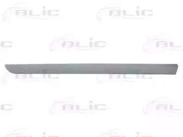 5703-04-6042575P BLIC Облицовка / защитная накладка, дверь