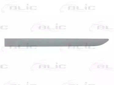 5703-04-6042577P BLIC Облицовка / защитная накладка, дверь