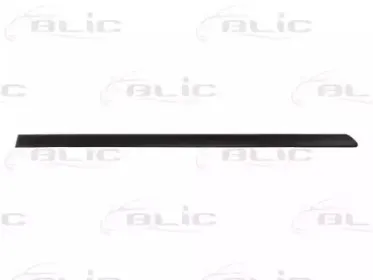 5703-04-9504574SP BLIC Облицовка / защитная накладка, дверь