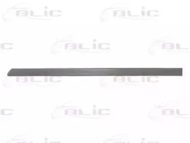 5703-04-9504577P BLIC Облицовка / защитная накладка, дверь