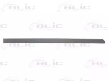 5703-04-9504578P BLIC Облицовка / защитная накладка, дверь