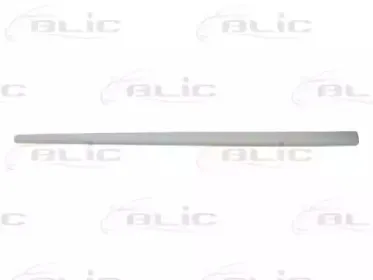 5703-04-9505575P BLIC Облицовка / защитная накладка, дверь