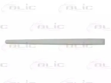 5703-04-9505578P BLIC Облицовка / защитная накладка, дверь