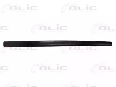 5703-04-9506571P BLIC Облицовка / защитная накладка, дверь