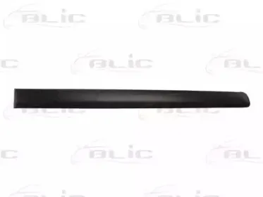 5703-04-9506574P BLIC Облицовка / защитная накладка, дверь