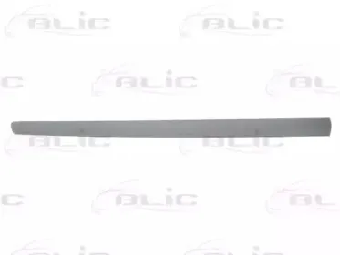 5703-04-9506575P BLIC Облицовка / защитная накладка, дверь