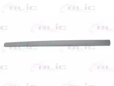 5703-04-9506576P BLIC Облицовка / защитная накладка, дверь