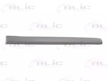 5703-04-9506578P BLIC Облицовка / защитная накладка, дверь