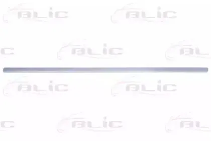 5703-04-9523575P BLIC Облицовка / защитная накладка, дверь