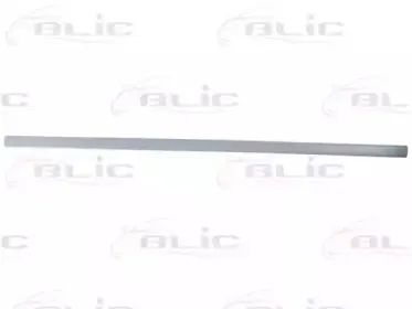 5703-04-9523576PP BLIC Облицовка / защитная накладка, дверь