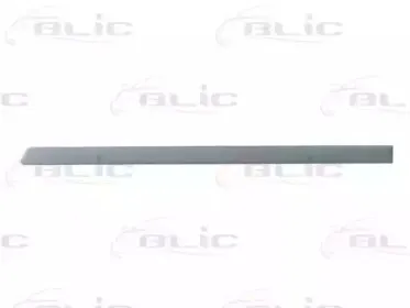 5703-04-9523577P BLIC Облицовка / защитная накладка, дверь