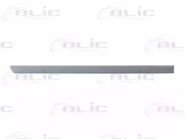 5703-04-9523578P BLIC Облицовка / защитная накладка, дверь