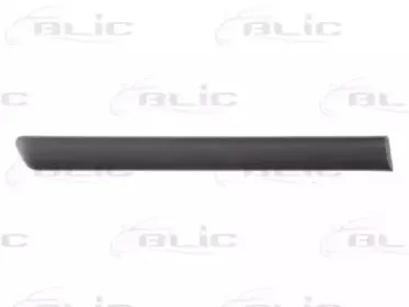 5703-04-9523674P BLIC Облицовка / защитная накладка, крыло