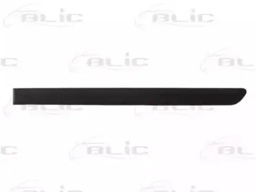 5703-04-9524573P BLIC Облицовка / защитная накладка, дверь