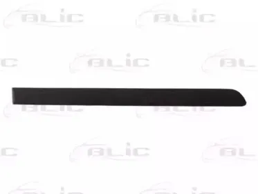 5703-04-9524574P BLIC Облицовка / защитная накладка, дверь